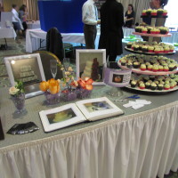 Example of wedding show, Cinderella Show, Welcome Wagon Show and Ribbons and Romance wedding fair
