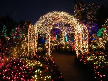 Festival of Lights at VanDusen Botanical Garden